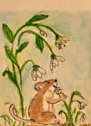 Watercolor and ink drawing of a small field mouse nibbling among white snowdrop flowers