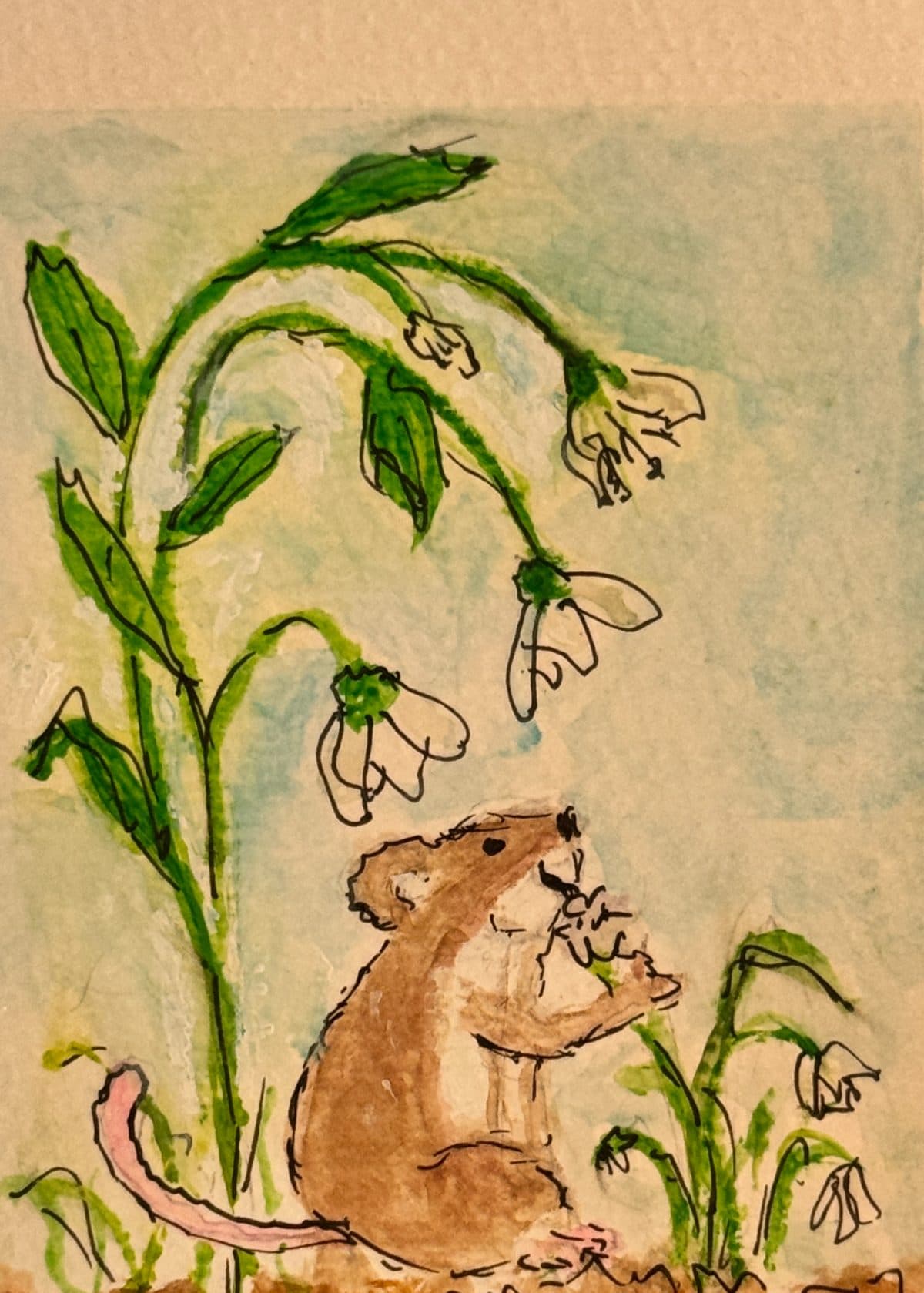 Watercolor and ink drawing of a small field mouse nibbling among white snowdrop flowers